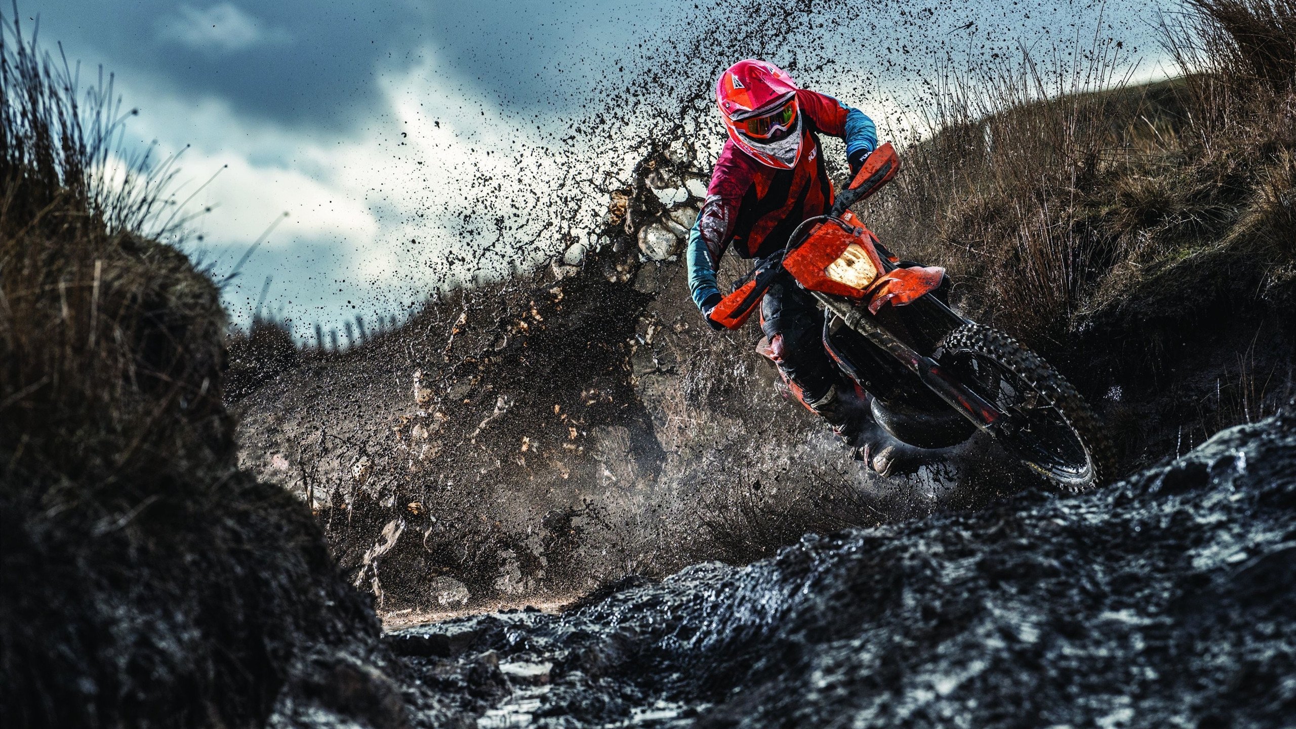 总决赛的意外焦点，深圳队碾压森林狼的跨时空遐想